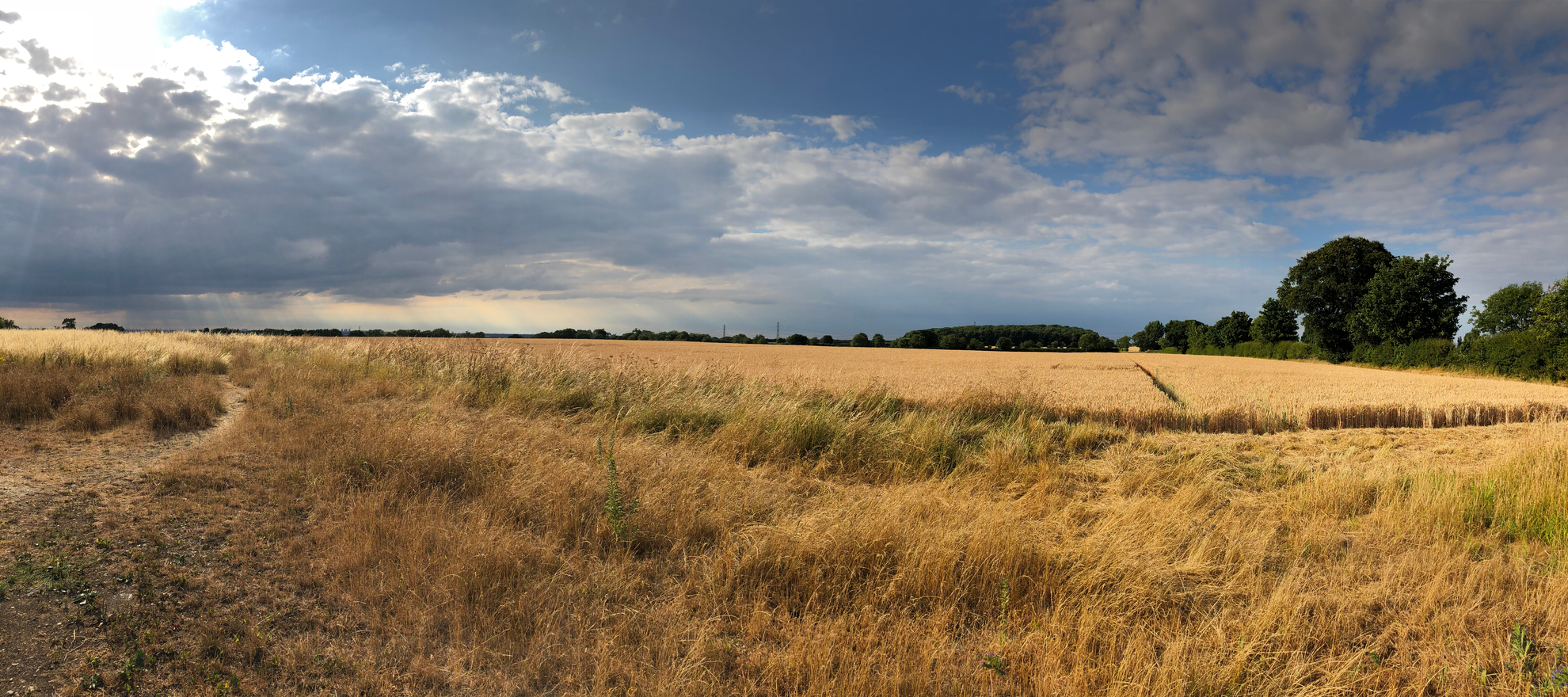 An image depicting the trail Nev Cole Way and its surrounding area.