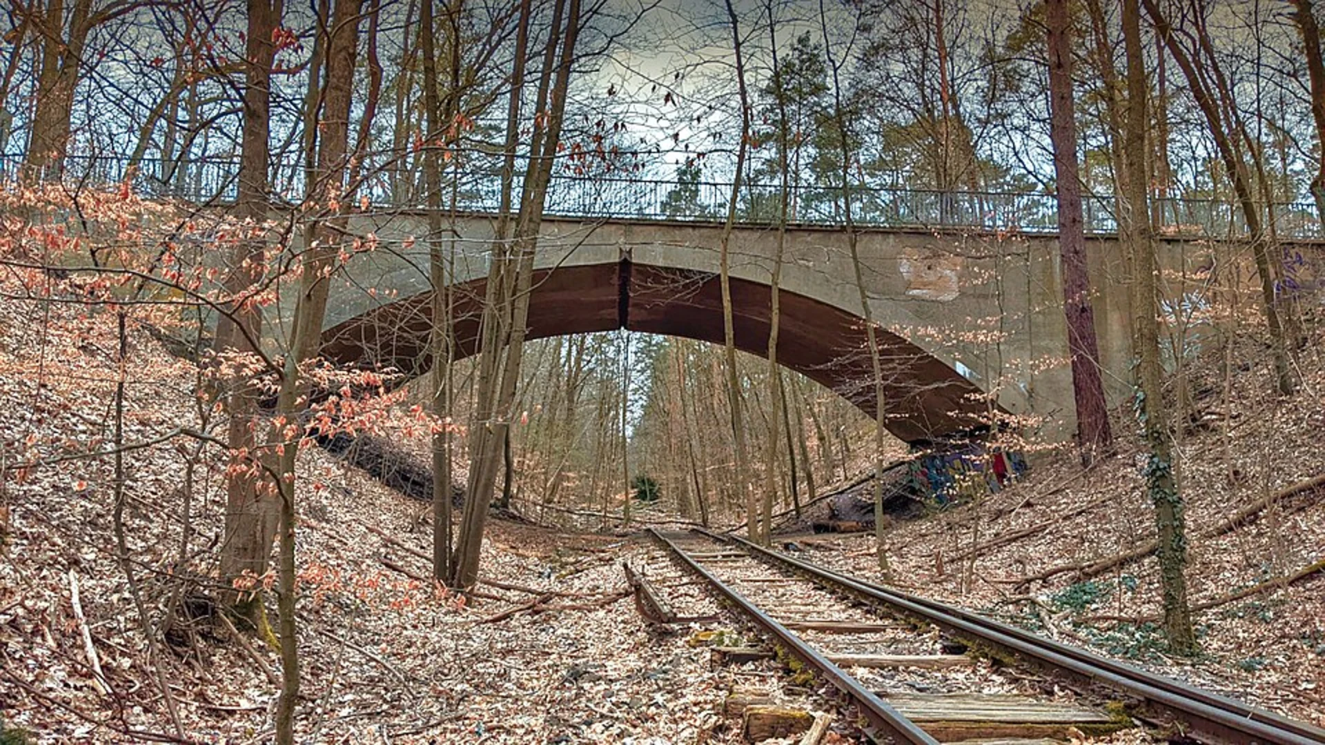 An image depicting the trail Duppeler Forst Loop - Wannsee and its surrounding area.