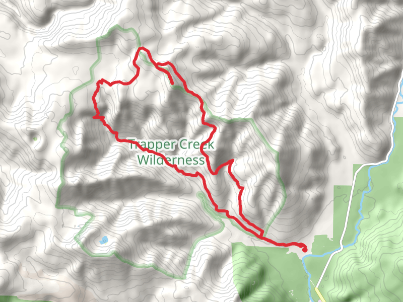 Observation Peak Loop via Trapper Creek Trail