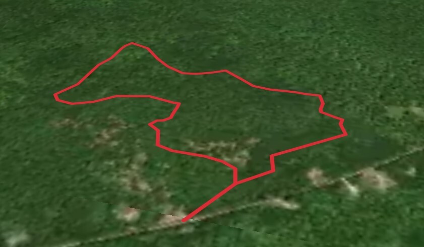 Bragdon Hill Forest Trails Loop