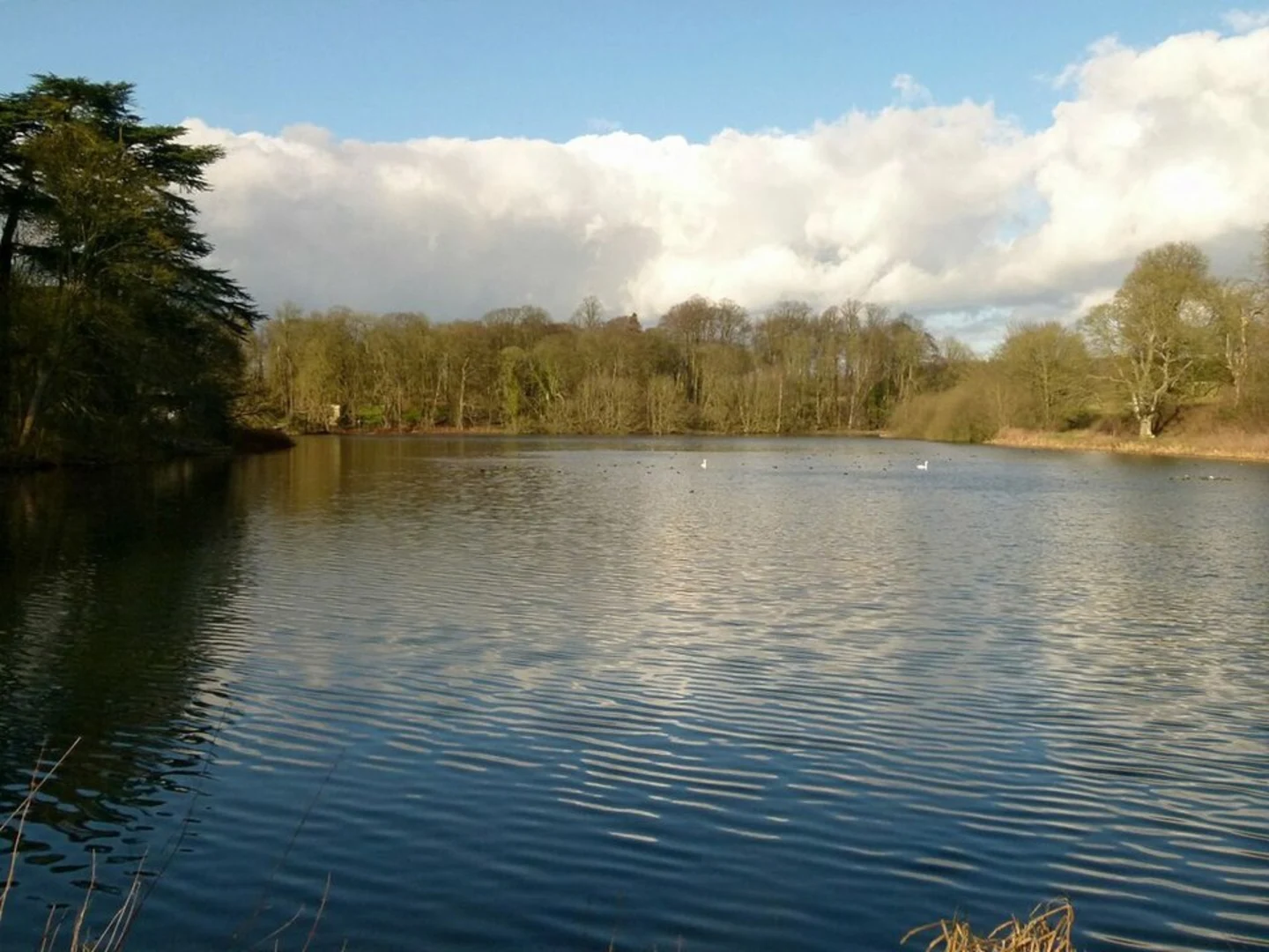 An image depicting the trail Exton Loop and its surrounding area.