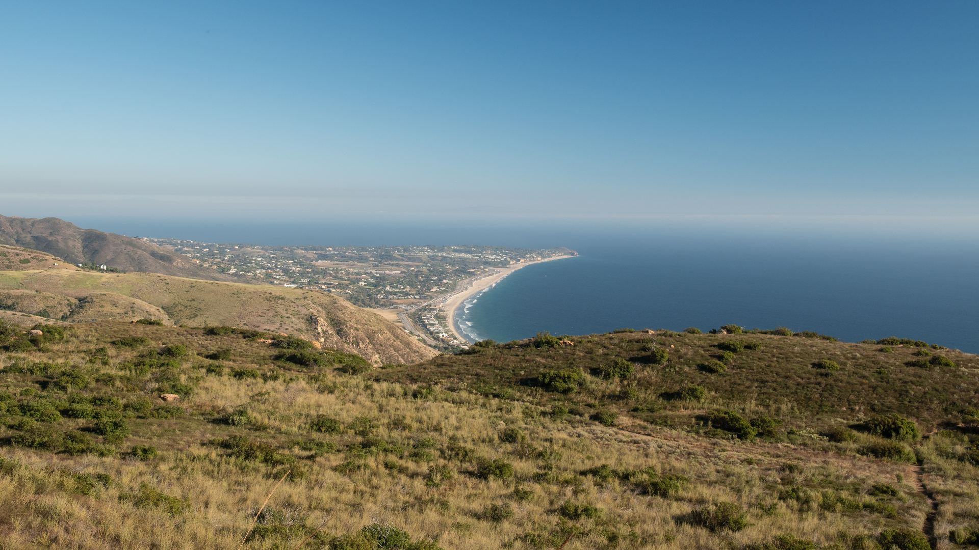 An image depicting the trail Charmichael Road Trail - East Meadow Loop Trail and its surrounding area.