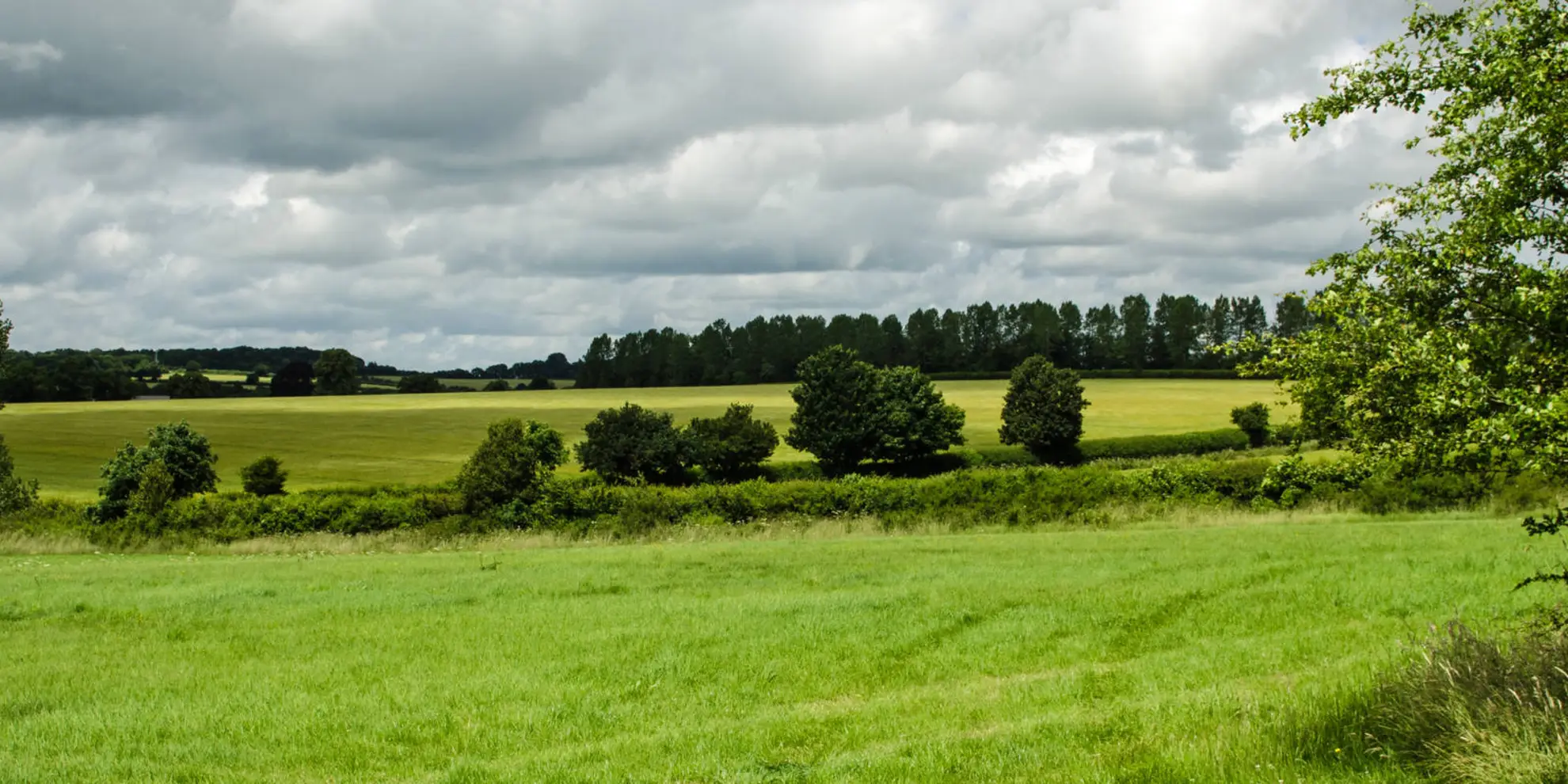 An image depicting the trail Watercress Way and its surrounding area.