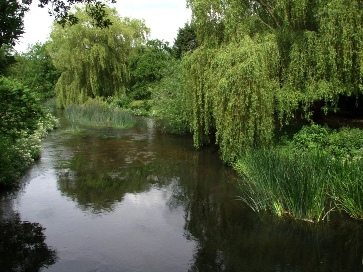Broadwater Brook and Loddon Loop