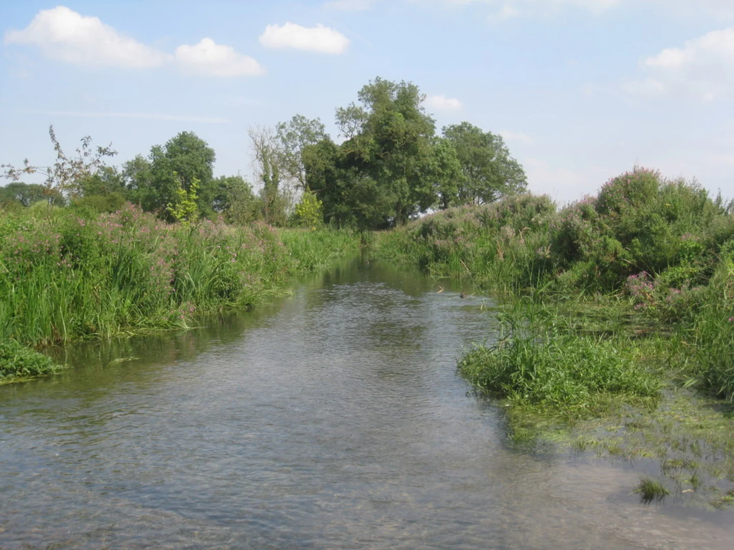 An image depicting the trail Scopwick - Kirkby Green and Blankney and its surrounding area.