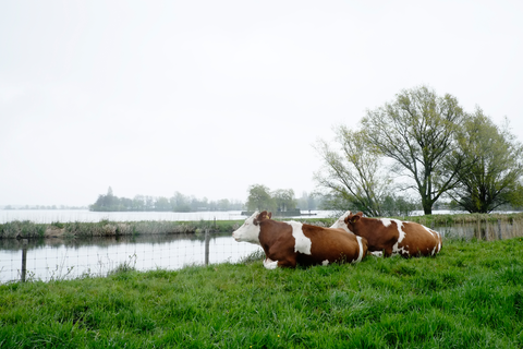 Geer Weg, Langeraarse Weg and Kerkpad Loop