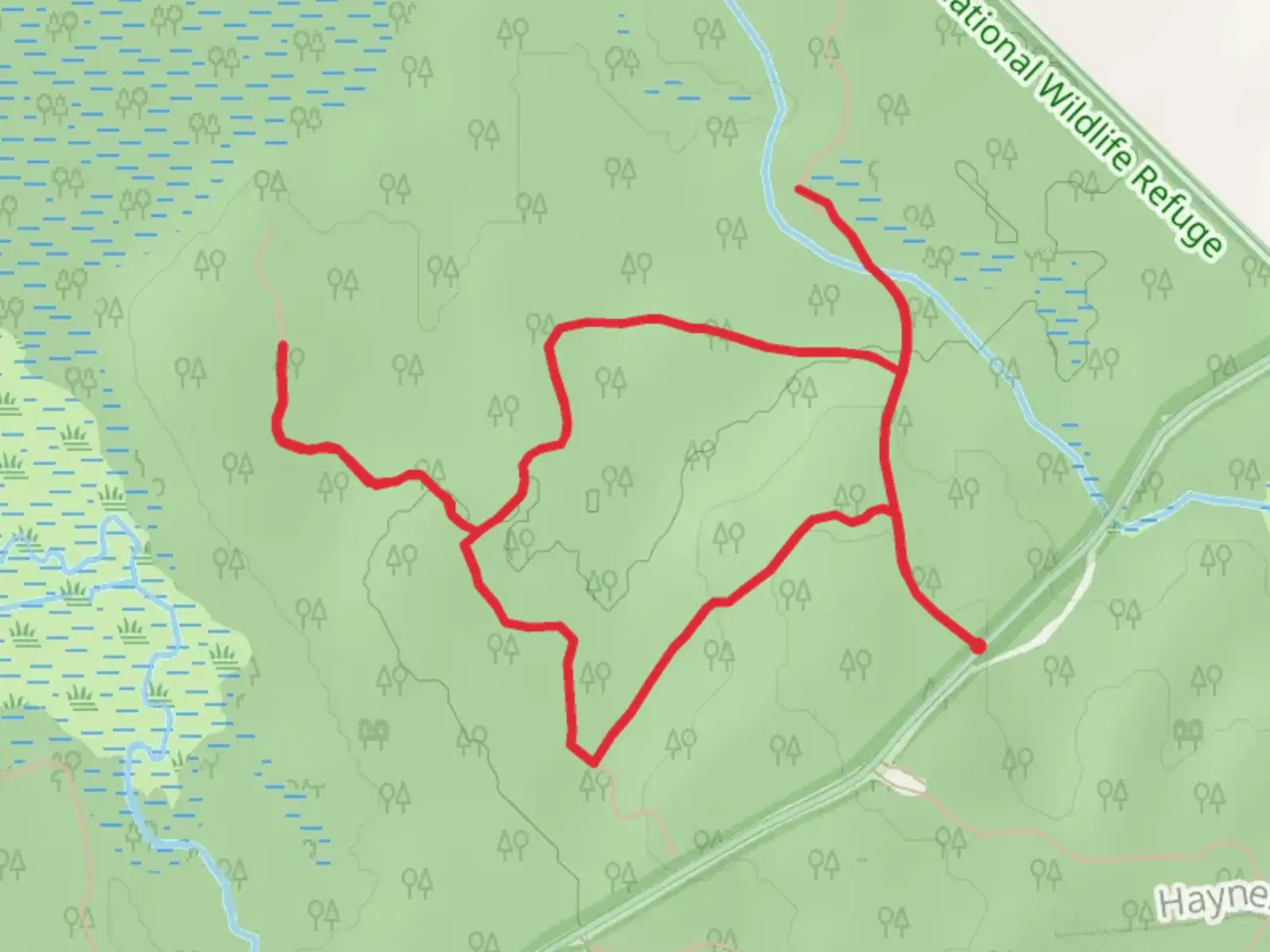 An image depicting the trail Johnson Brook Trail - County Road and its surrounding area.