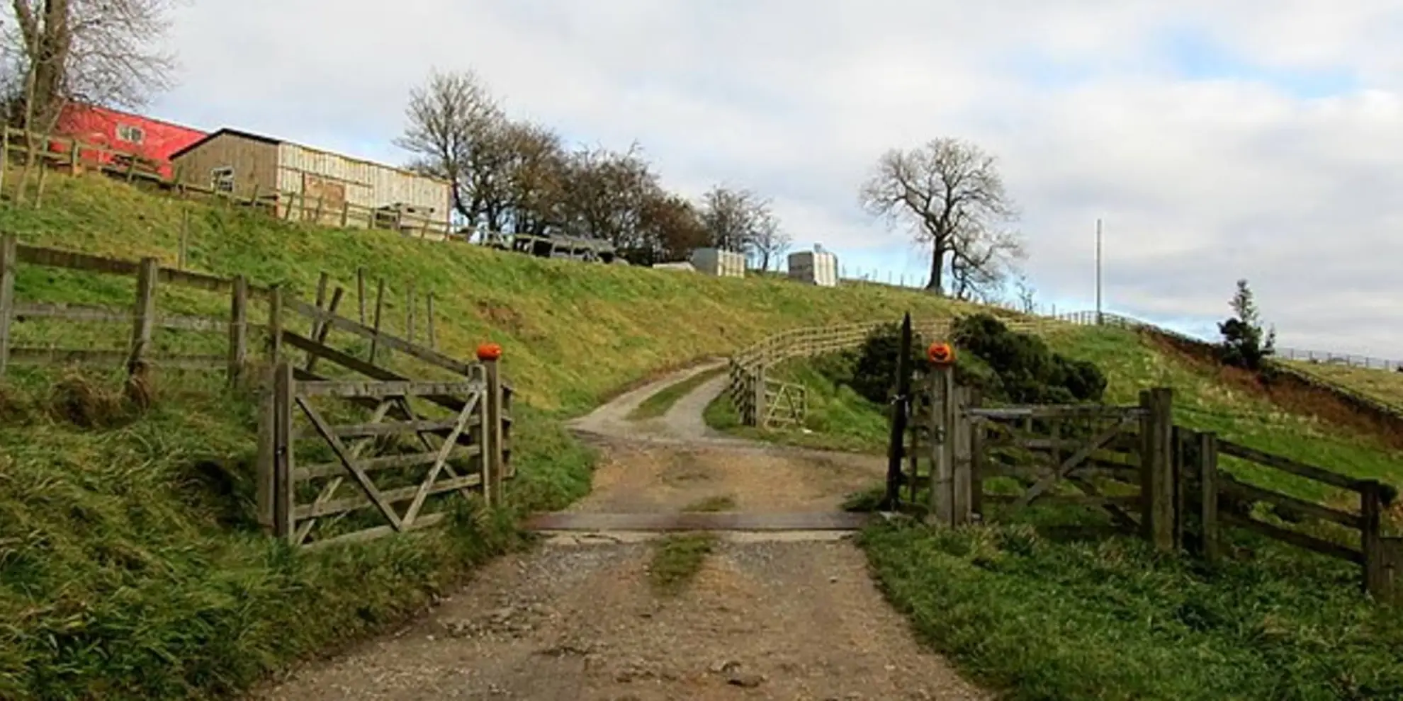 An image depicting the trail Crackpots Mosaic Trail and its surrounding area.