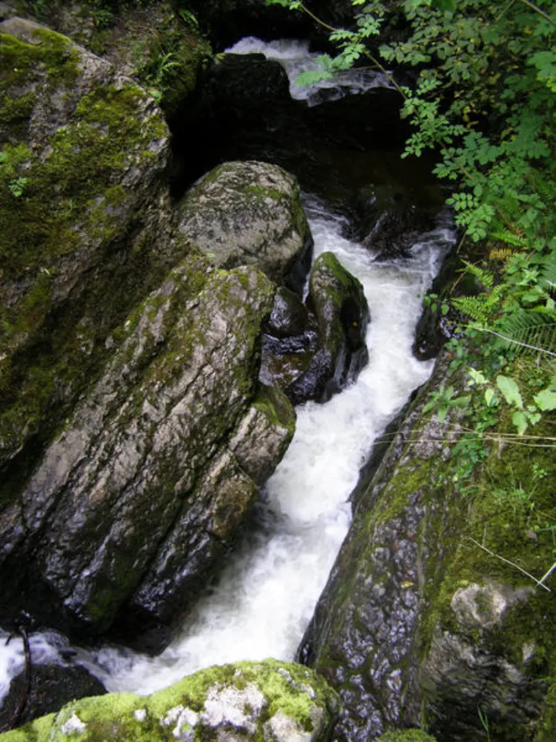 An image depicting the trail Whelpo Bridge and Beck Walk and its surrounding area.