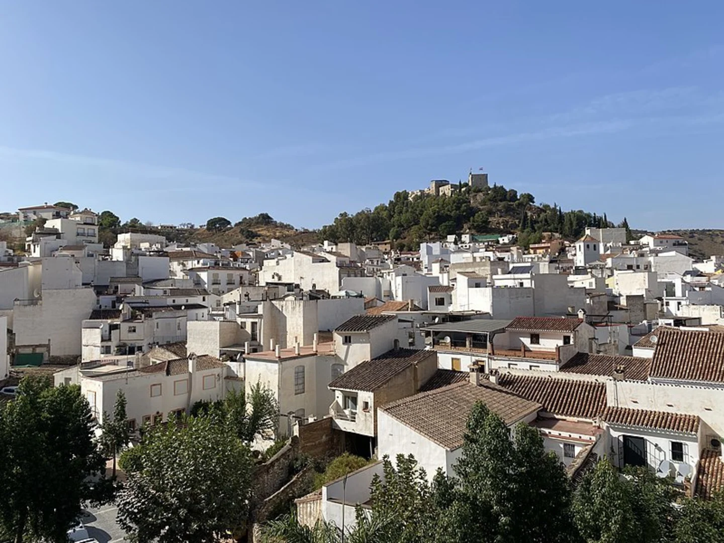 An image depicting the trail Monda - Cerro Gordo PR A 275 and its surrounding area.