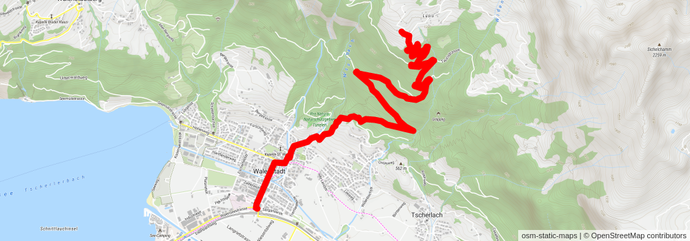 Churfirsten and Lake Walen stage 2 Map
