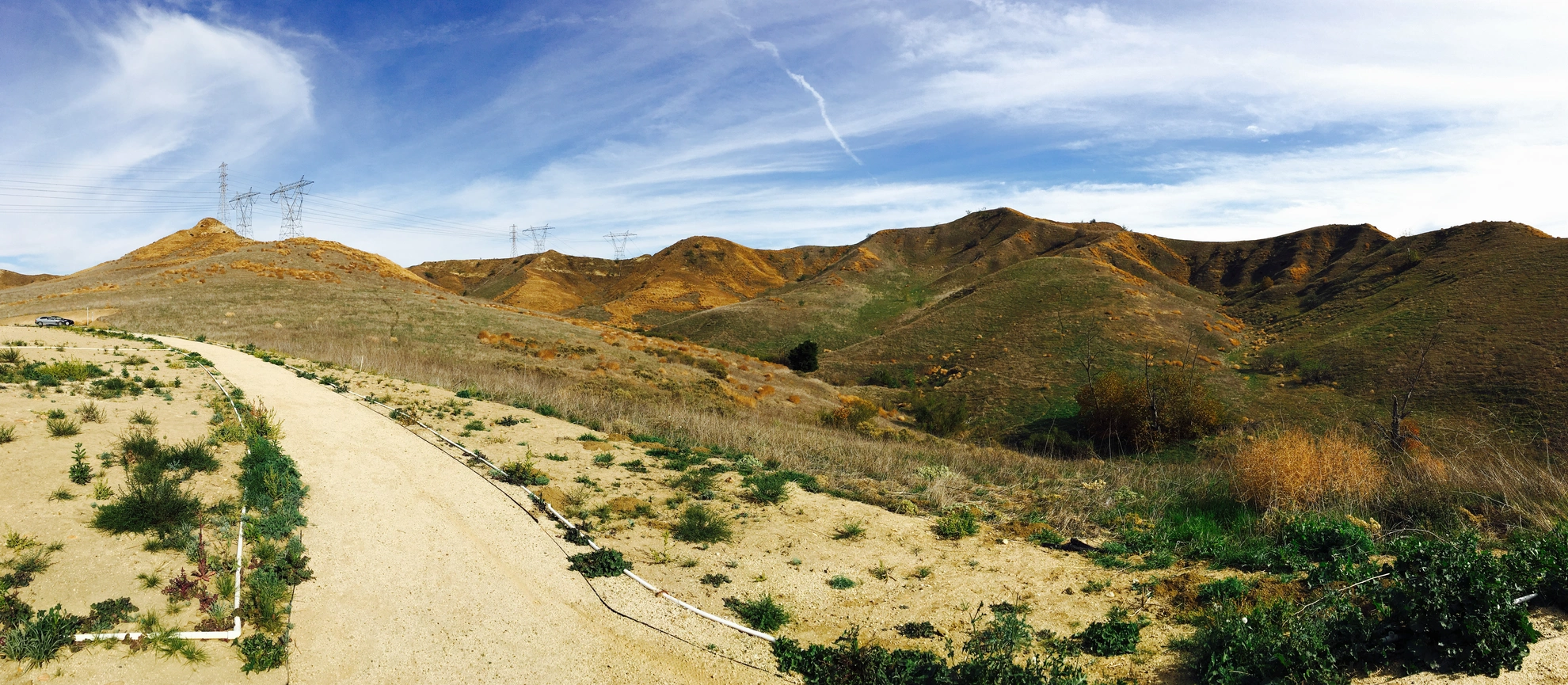 An image depicting the trail Bane Canyon - Scully Ridge - Lower Aliso Canyon Loop Trail and its surrounding area.