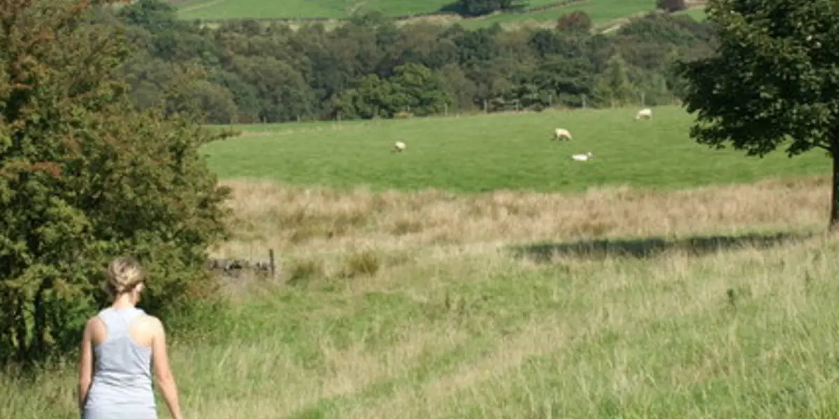 Pott Shrigley along Gritstone Way - Brink Brow and Harrop Wood