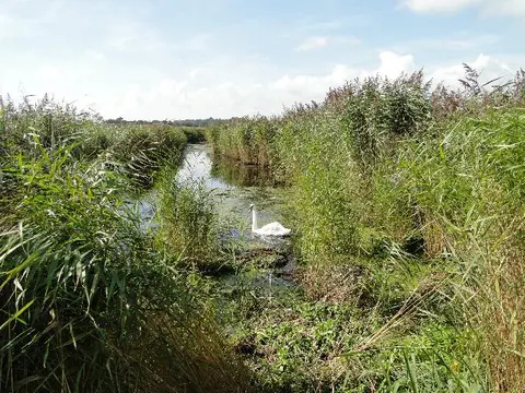 Southwold and River Blyth Loop