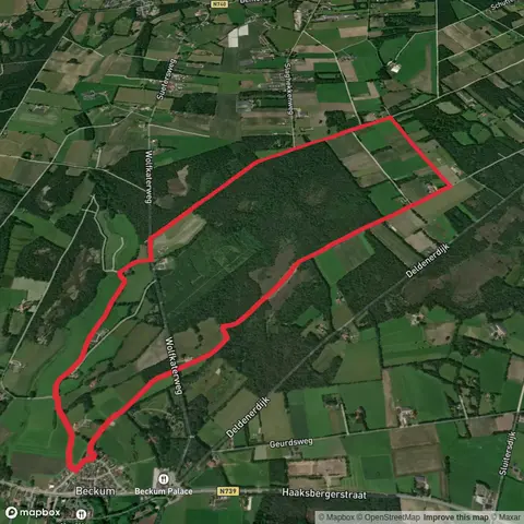Overijssels Havezatenpad and Torendijk Loop