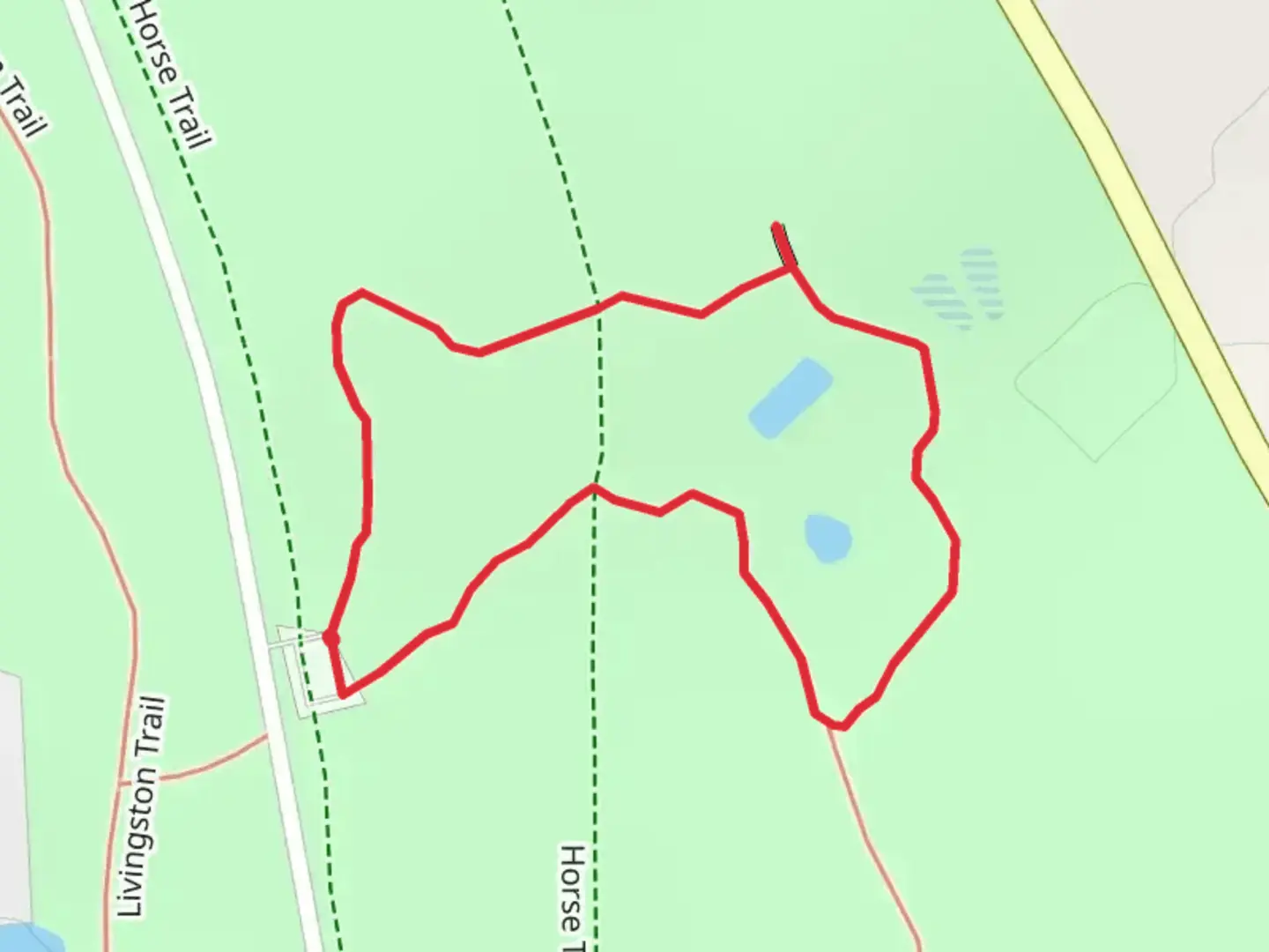 An image depicting the trail Piney Woods Nature Loop Trail and its surrounding area.