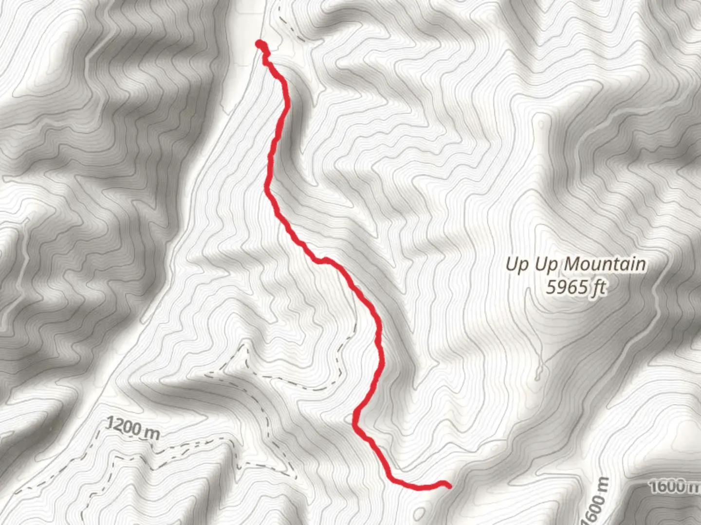 An image depicting the trail UP UP Creek Trail and its surrounding area.