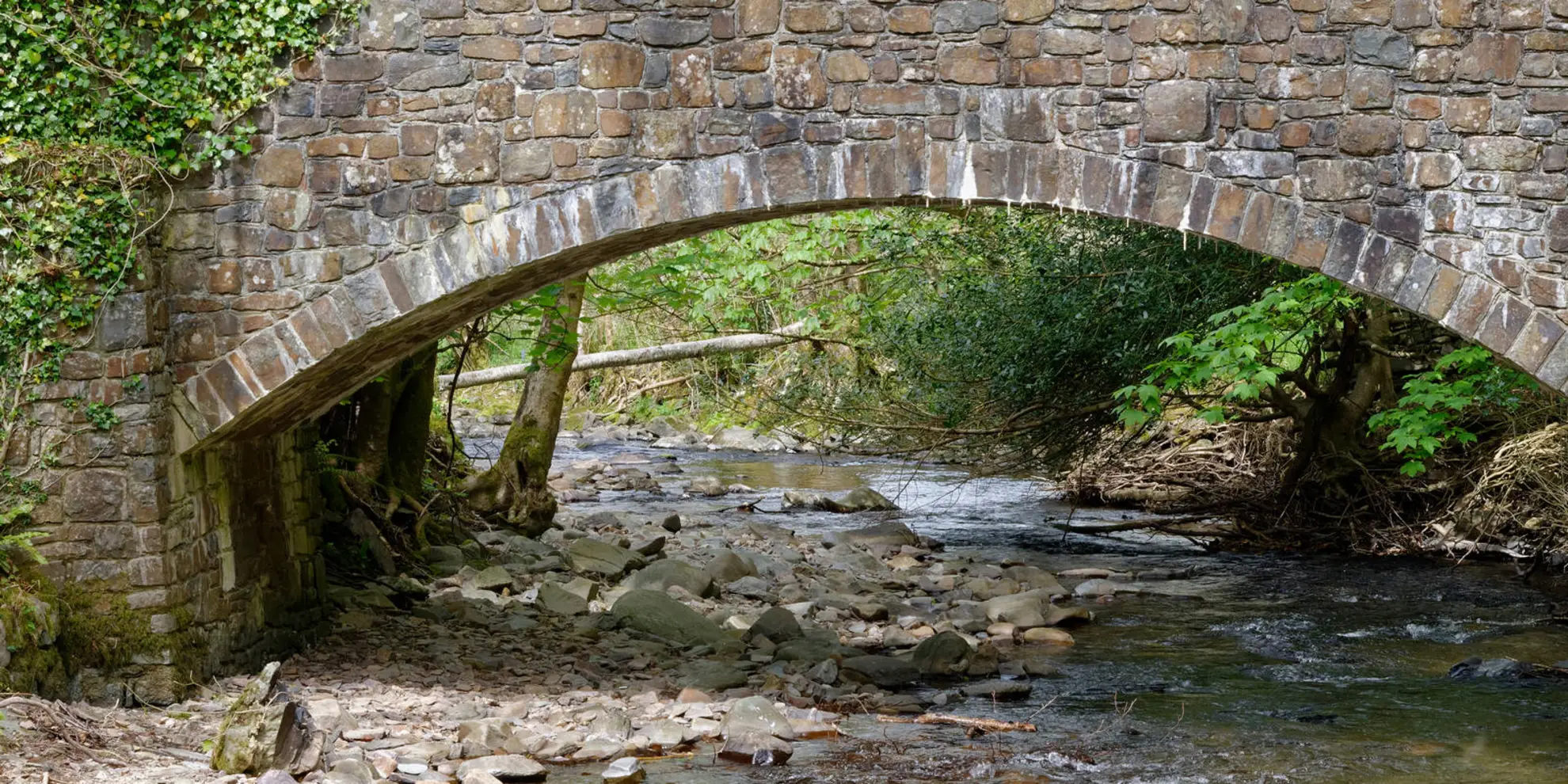 An image depicting the trail Heddon's Mouth Cleave Walk and its surrounding area.
