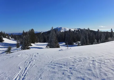 An image depicting the trail Mont Tendre - From Mollendruz to Marchairuz and its surrounding area.