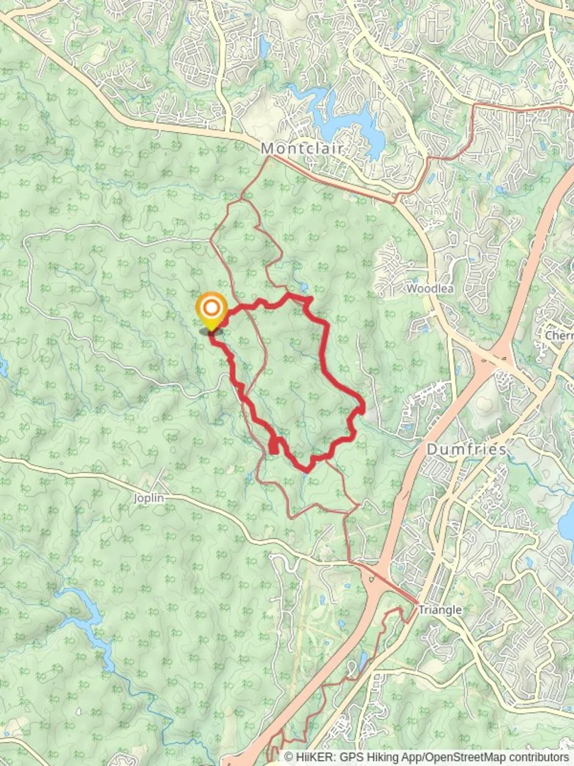 An image depicting the trail Mary Bird Branch and Turkey Run Ridge Loop Trail and its surrounding area.
