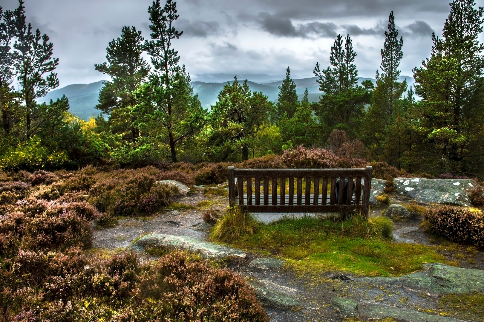 An image depicting the trail Craigendarroch Circular Walk and its surrounding area.