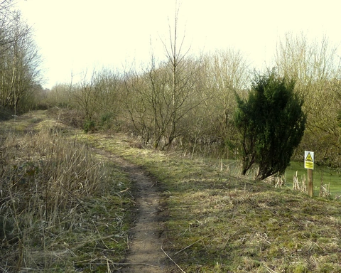 An image depicting the trail Colliers Moss Common Nature Reserve and Burtonwood Brewery Loop and its surrounding area.