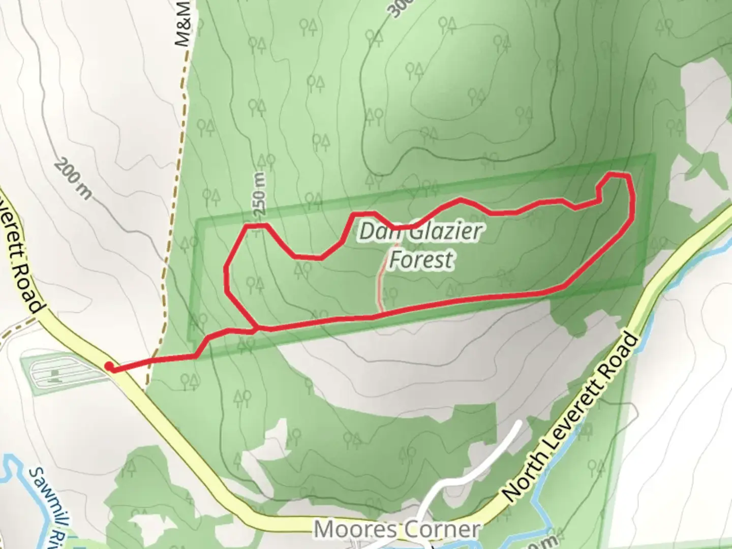An image depicting the trail Dan Glazier Forest Loop and its surrounding area.