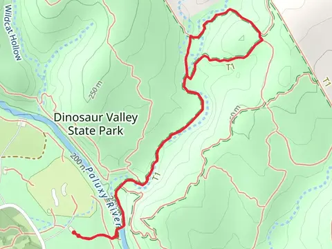 Denio Creek Warbler Trail and Cedar Brake Outer Loop Trail