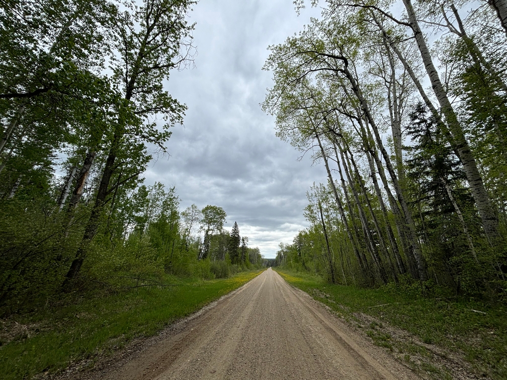 An image depicting the trail Prince Albert National Park of Canada and its surrounding area.