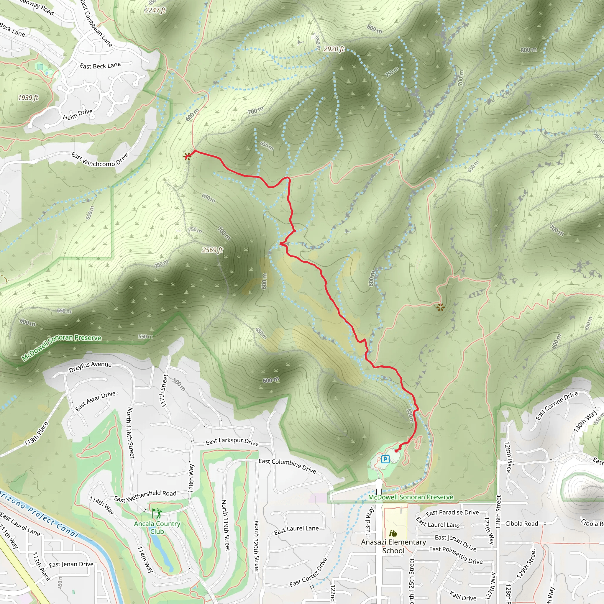 Lost Dog Trail mobile static map