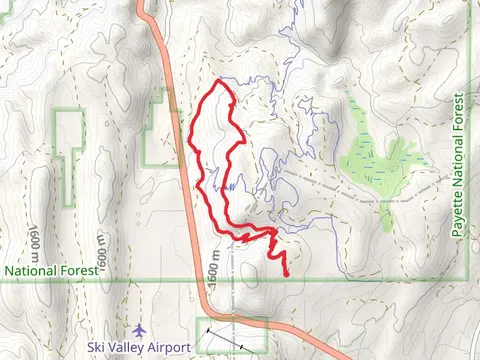 Baby Bear, Mama Bear Road and Westy Loop Trail