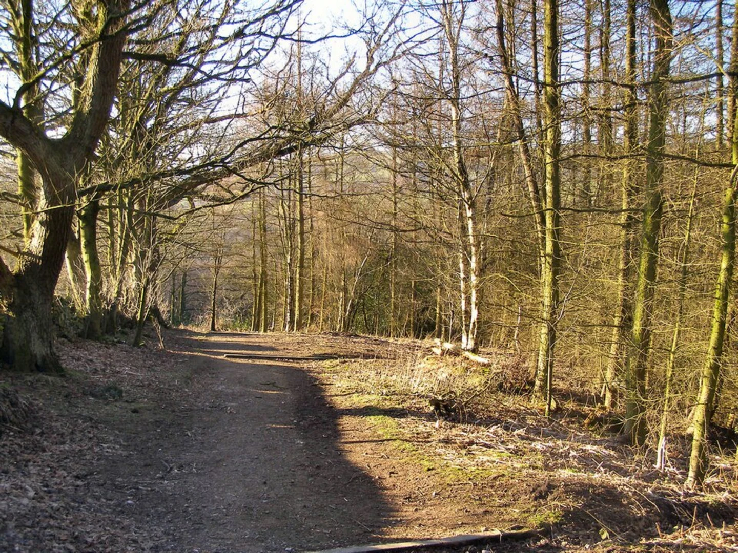 An image depicting the trail Etherow Country Park and Ernocroft Wood and its surrounding area.