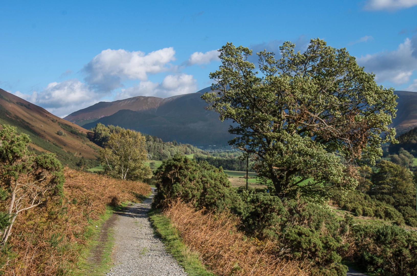 An image depicting the trail Scar Crags and its surrounding area.