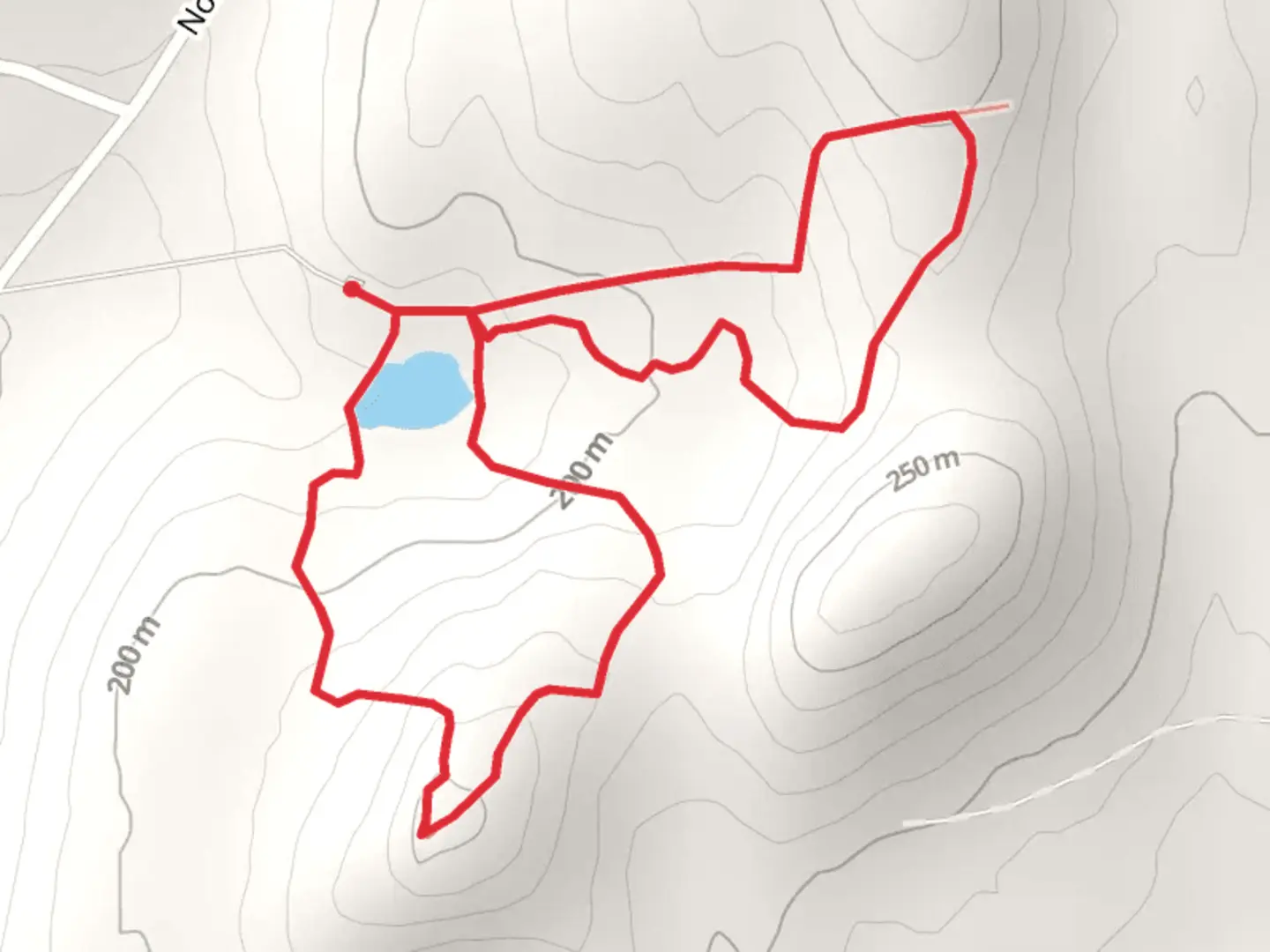 An image depicting the trail Yellow and Red Loop Trail via Derby Road and its surrounding area.