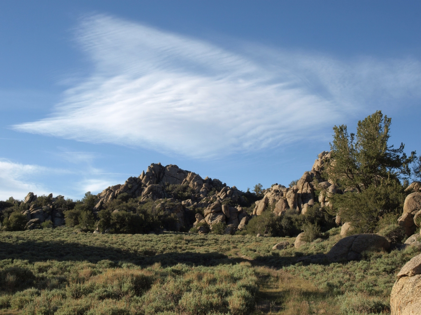 An image depicting the trail White Mountain Peak and its surrounding area.