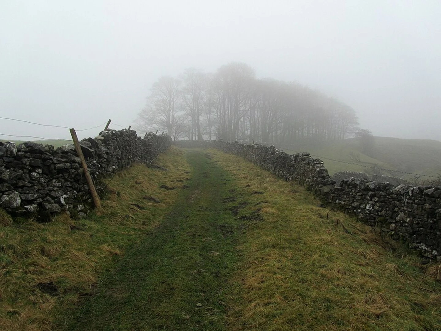 An image depicting the trail Rylstone Cross and Cracoe War Memorial Loop and its surrounding area.