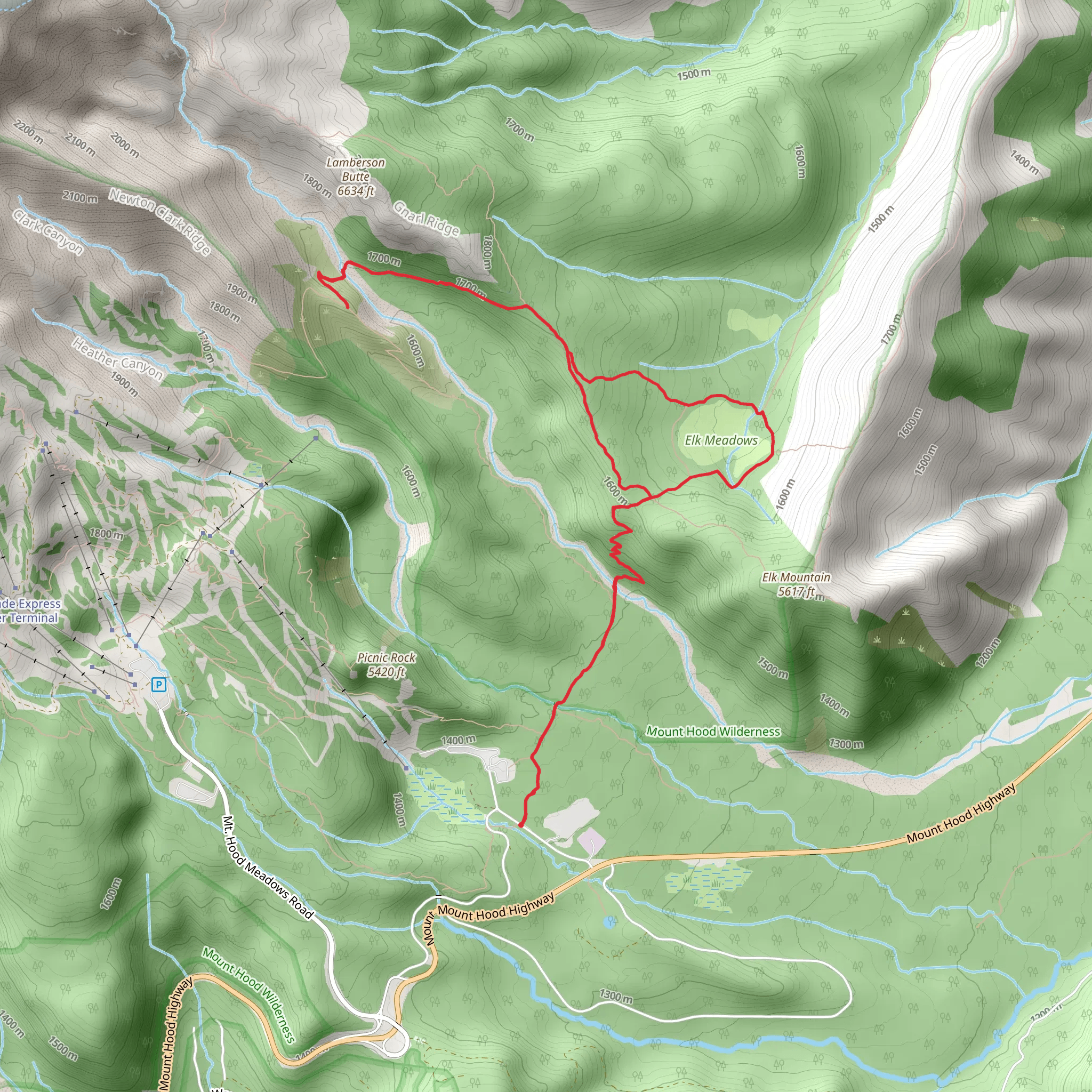 Gnarl Ridge Loop via Sahale Falls Trail mobile static map
