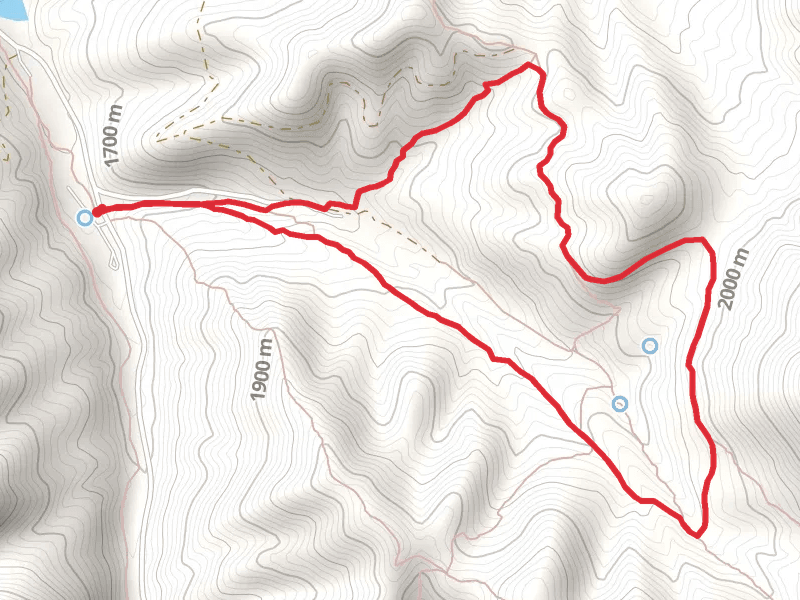 Left Hand Fork Trail and Bench Trail