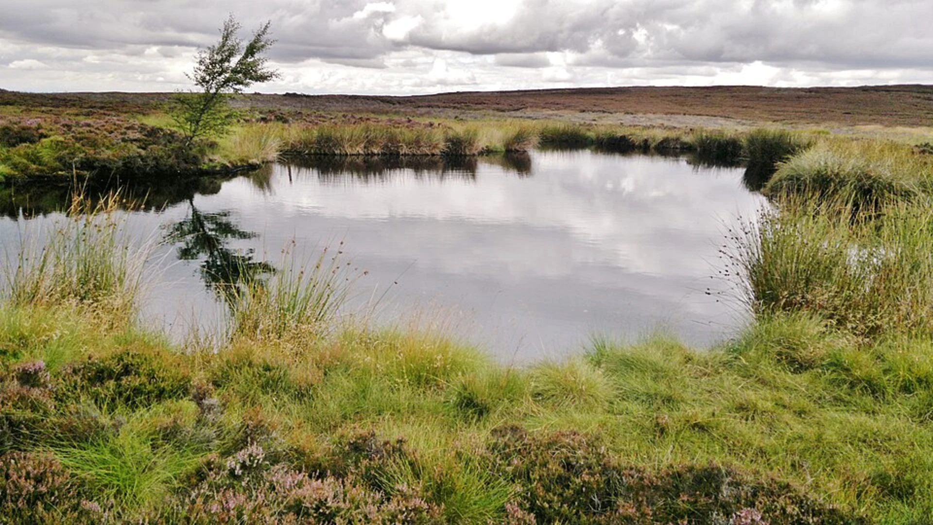 An image depicting the trail Swainby eastern Loop via Carlton Bank and its surrounding area.