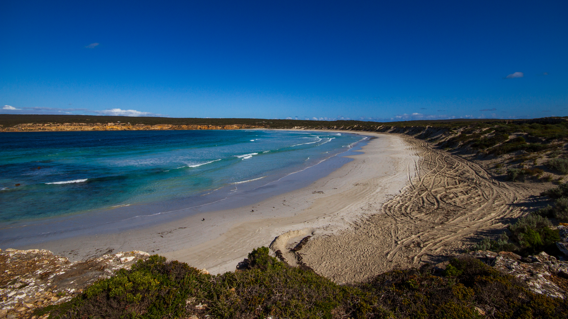 An image depicting the trail Investigator Trail and its surrounding area.