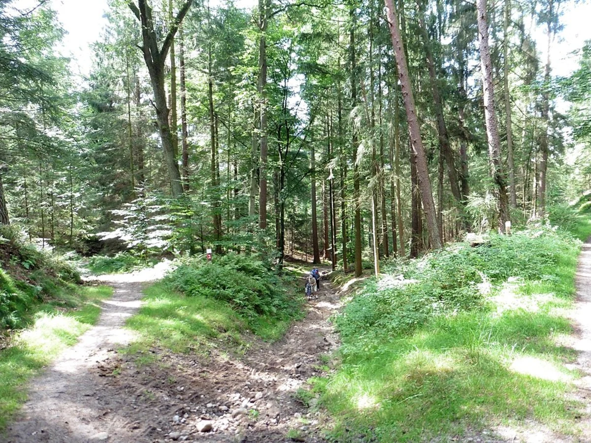 Neugraben to Ehestorf via Harburger Berge