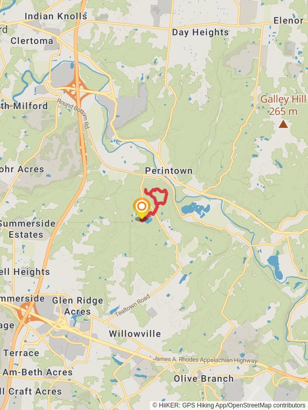 Willow Pond - Lookout Trail