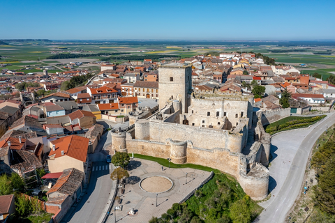 Pinilla Pine PR VA 31