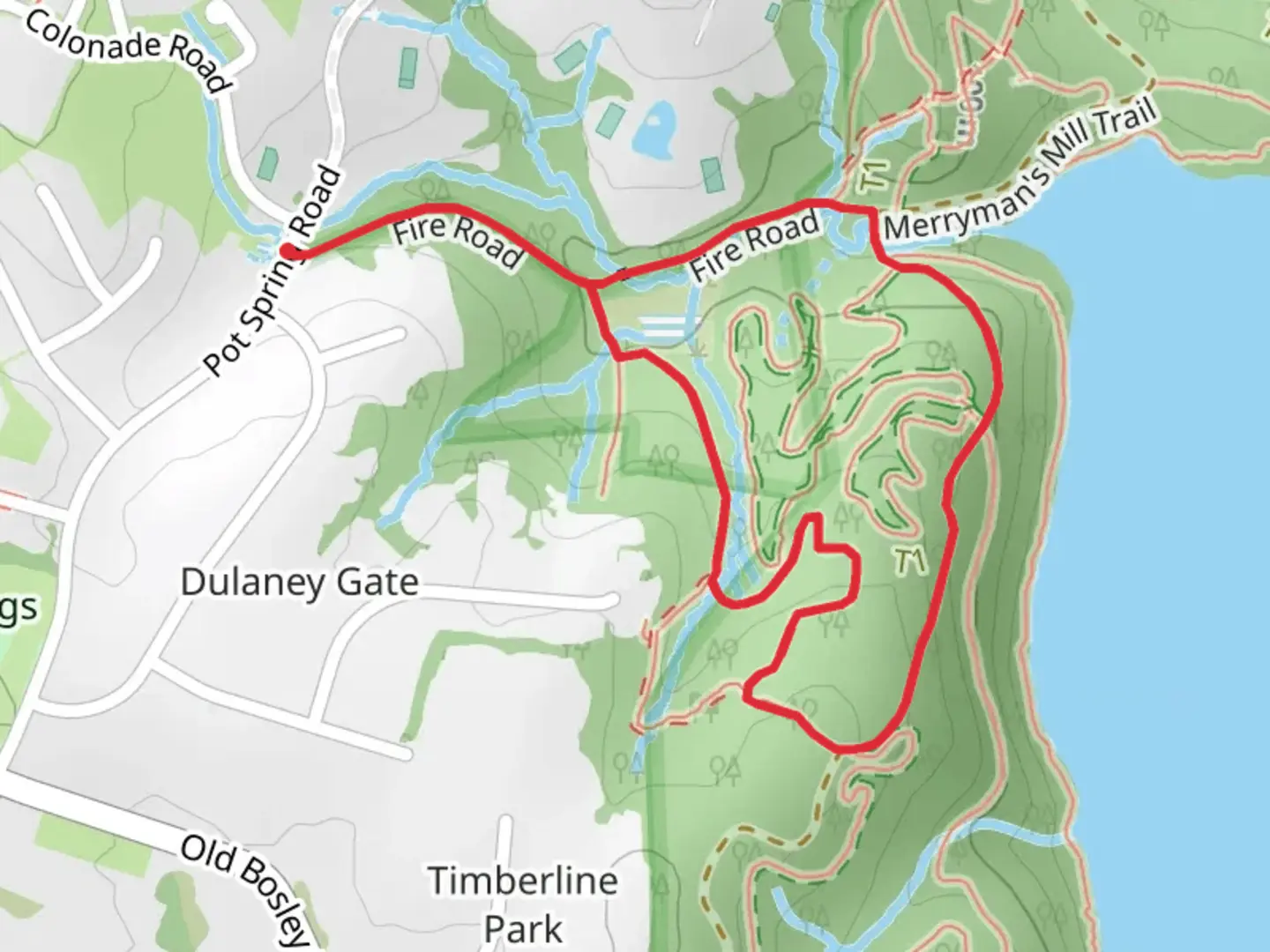 An image depicting the trail Merryman's Mill Upper Loop Trail and its surrounding area.