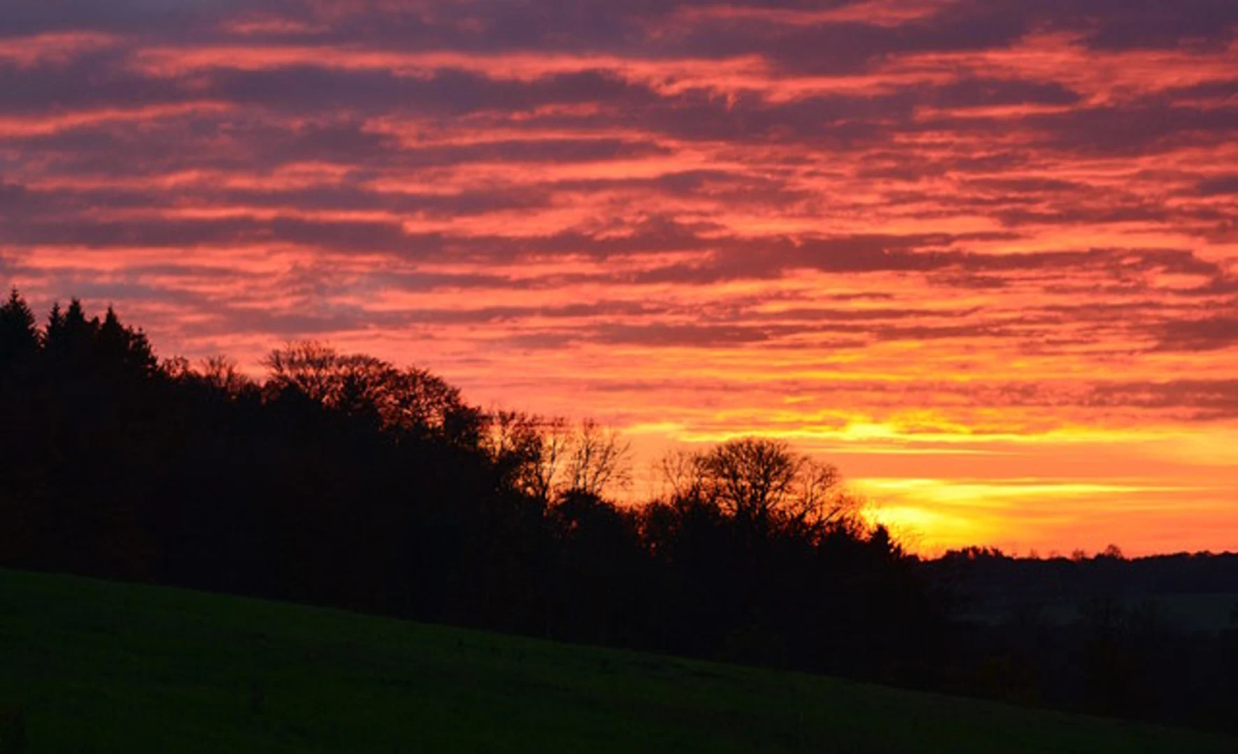An image depicting the trail Purley on Thames Circular Walk and its surrounding area.