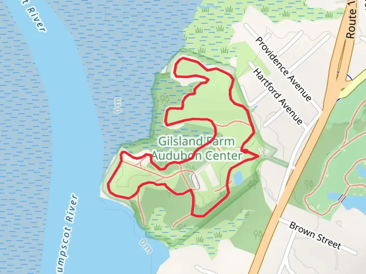 An image depicting the trail North Meadow Trail Loop and its surrounding area.
