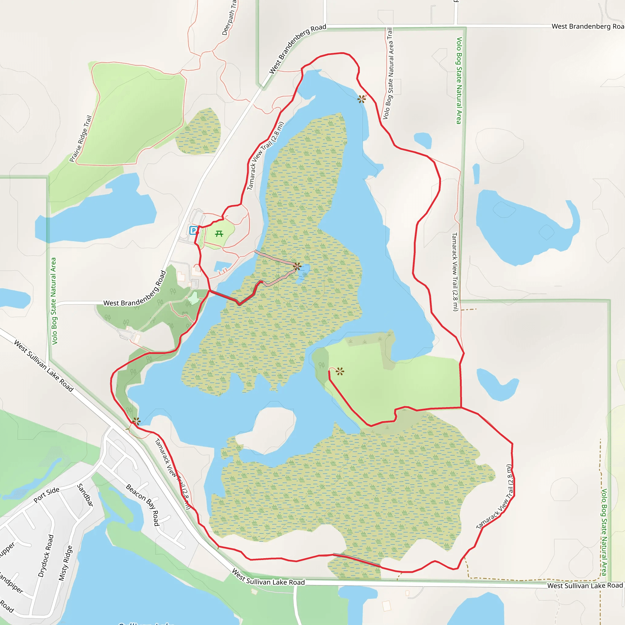 Eye of the bog - Tamarack View Trail mobile static map
