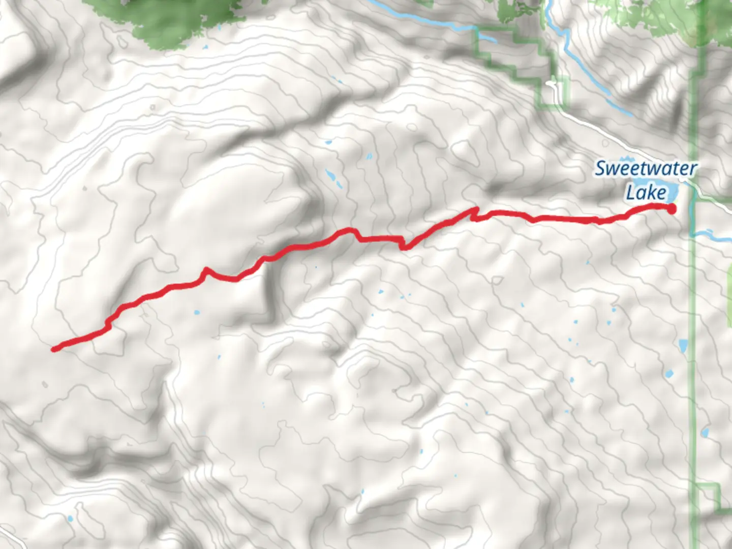 An image depicting the trail Ute - Deep Trail and its surrounding area.
