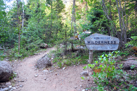 An image depicting the trail Hossick via Weminuche Trail and its surrounding area.