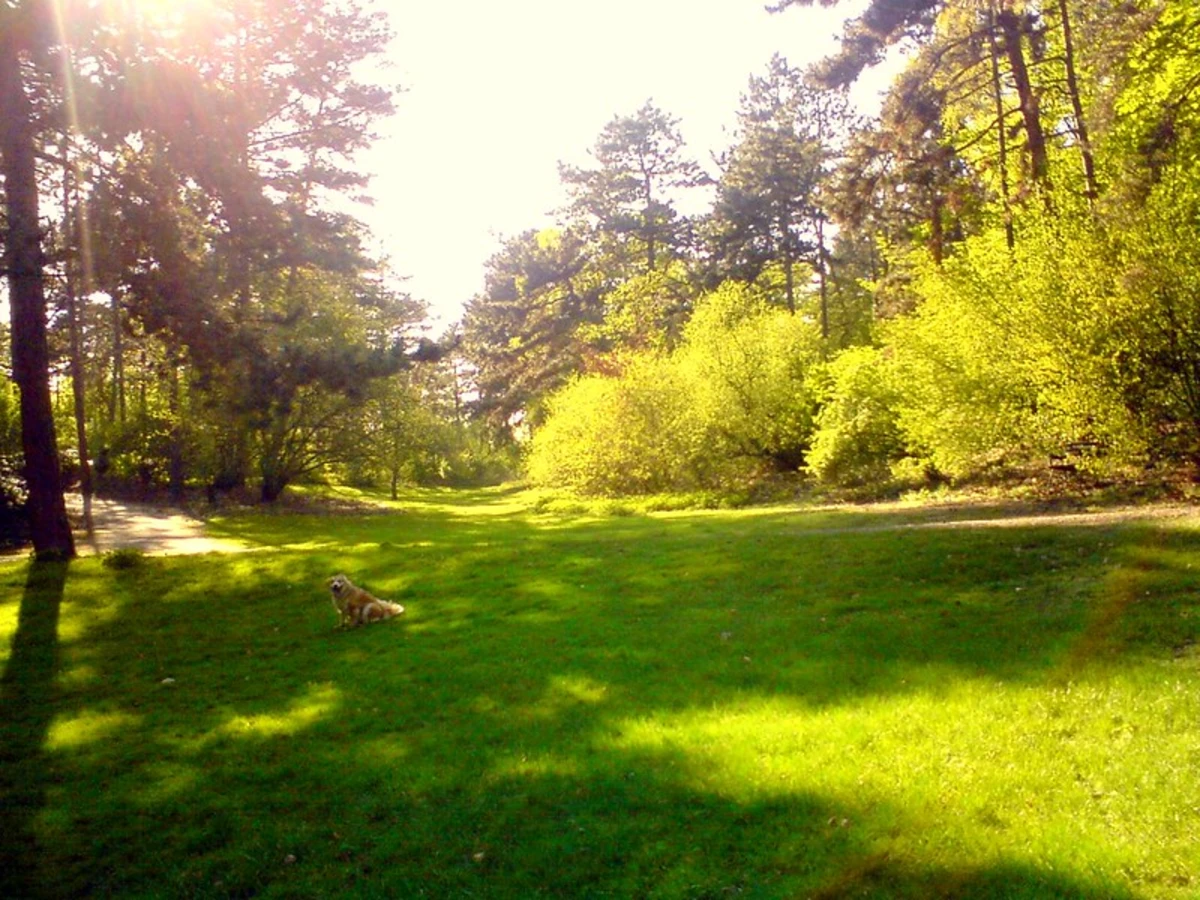 Rathenaubrunnen and Volkspark Rehberge Loop